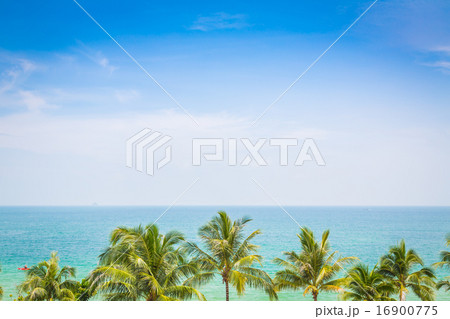 Palm tree with beautiful seascape Palm tree with beautiful seascape 16900775