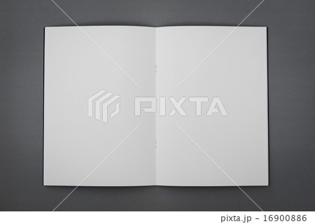 Blank catalog,brochure, magazines,book mock up 16900886