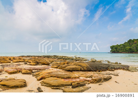 Rocks on the beach Rocks on the beach 16900891