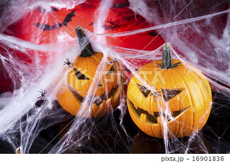 Halloween pumpkin Jack, spider net Halloween pumpkin Jack, spider net 16901836