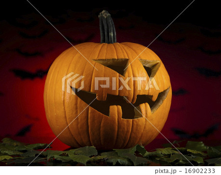 Halloween background with bats, bright colorful  16902233
