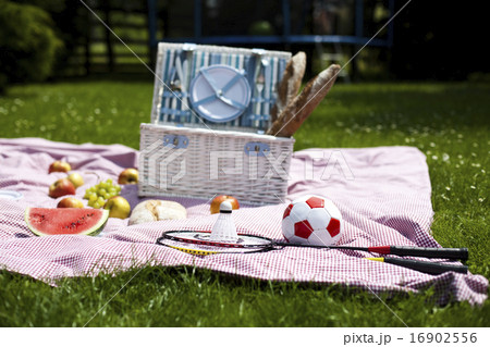 Picnic on the grass, springtime colorful  16902556