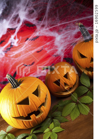 Halloween background with net and spider,pumpkin Halloween background with net and spider,pumpkin 16902599