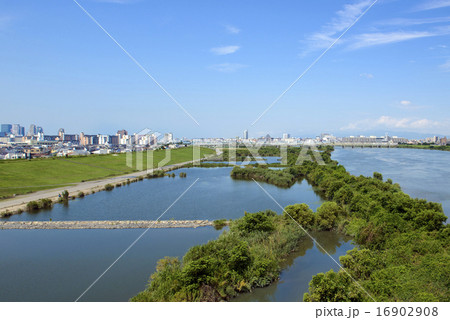 淀川ワンド 16902908