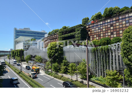 二子玉川駅前 16903232