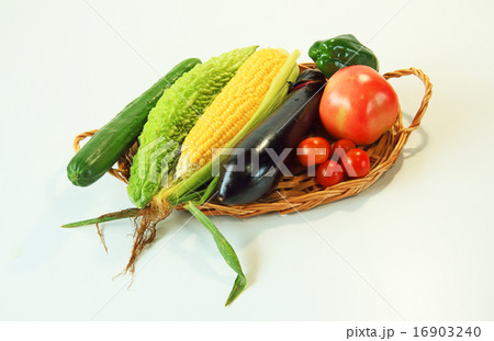 夏野菜 夏野菜 16903240