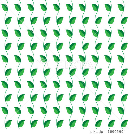 Seamless  pattern the green leaves for background 16903994