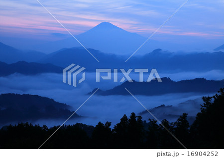 夜明けの富士山と雲海 夜明けの富士山と雲海 16904252