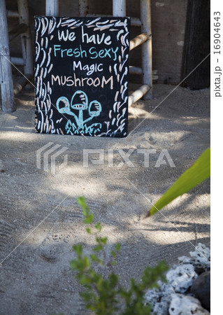 Magic mushrooms, bright colorful vivid theme 16904643