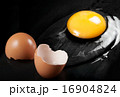 Raw Egg with Shell on Black Shale 16904824