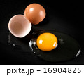 Raw Egg with Shell on Black Shale 16904825
