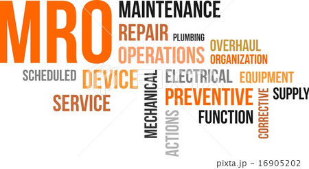 word cloud - mro 16905202
