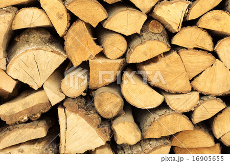 Closeup of firewood as background texture 16905655