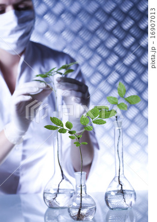 Laboratory glassware equipment, Experimental plant Laboratory glassware equipment, Experimental plant 16907013