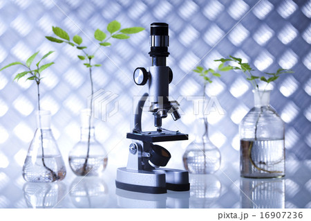 Laboratory, bio organic modern concept Laboratory, bio organic modern concept 16907236