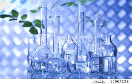 Science experiment with plant laboratory Science experiment with plant laboratory 16907238