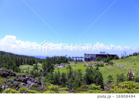 坪庭探勝路 坪庭探勝路 16908494