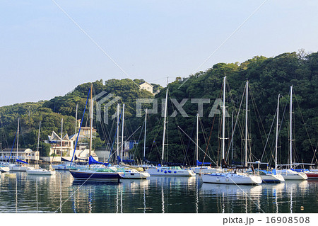 小網代湾の夏 16908508