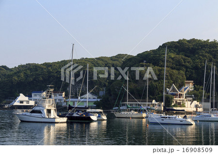 小網代湾の夏 16908509