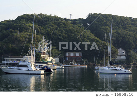 小網代湾の夏 小網代湾の夏 16908510