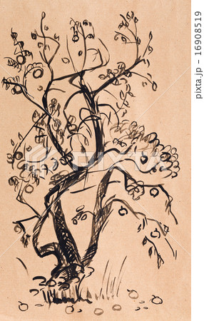 Scetch 16908519