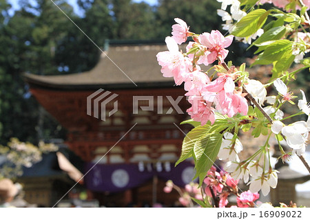 和歌山県伊都郡かつらぎ町上天野にある「丹生都比売神社」 和歌山県伊都郡かつらぎ町上天野にある「丹生都比売神社」 16909022