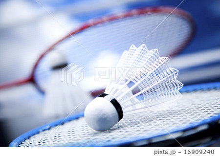 Badminton racket, vivid colorful theme Badminton racket, vivid colorful theme 16909240