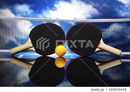 Assorted sports equipment, vivid colorful theme Assorted sports equipment, vivid colorful theme 16909446