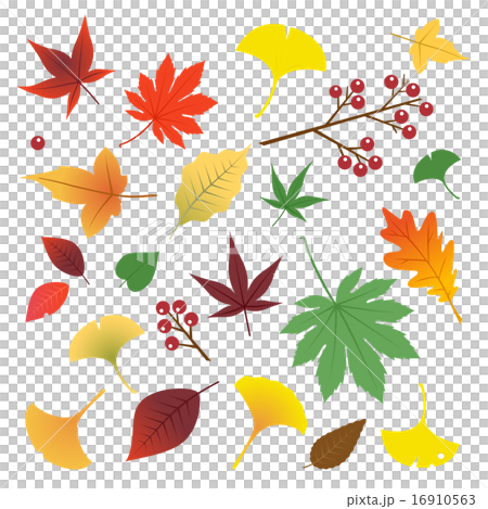 秋の葉セット 16910563