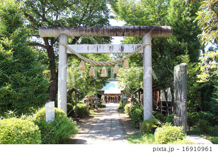長宮氷川神社 長宮氷川神社 16910961