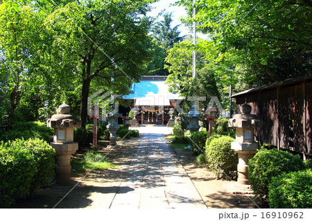 長宮氷川神社 長宮氷川神社 16910962