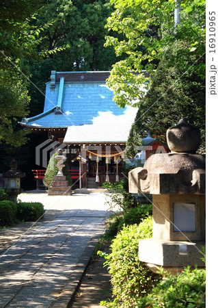 長宮氷川神社 長宮氷川神社 16910965