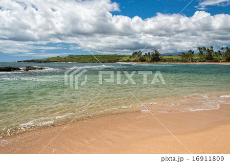 Waves on Hawaii beach panorama 16911809