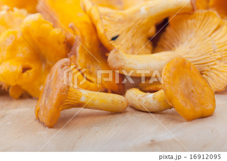 Chanterelles on wooden table Chanterelles on wooden table 16912095