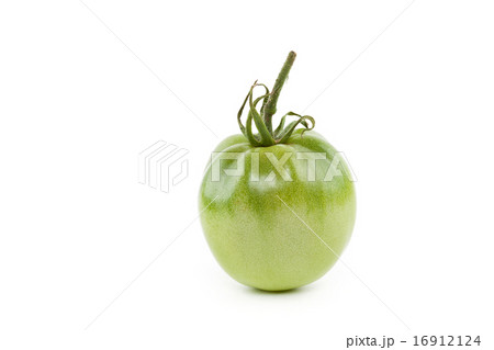 Green tomato on white 16912124