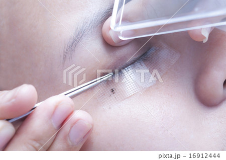 Eyelash extension series Eyelash extension series 16912444