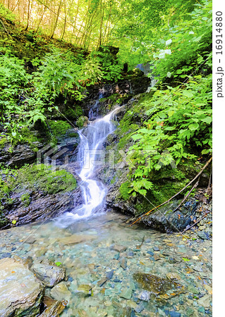 分杭峠の水場(縦) 分杭峠の水場(縦) 16914880