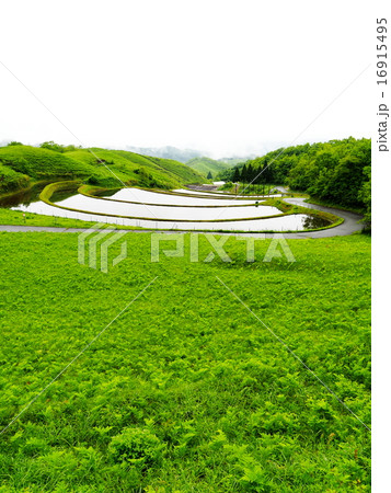 扇棚田 扇棚田 16915495