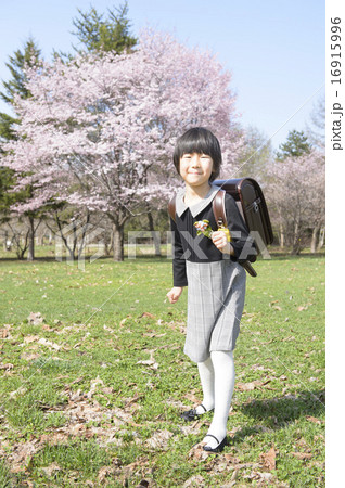 一年生と桜(ダッシュ) 一年生と桜(ダッシュ) 16915996