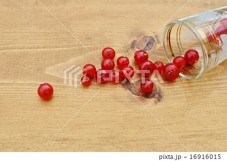 レッドカーラント レッドカーラント 16916015