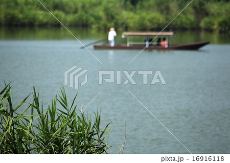 水郷巡り 16916118