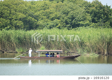 水郷巡り 水郷巡り 16916120