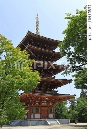 復元五重塔 16916337