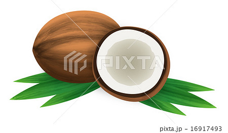 ココナッツ 16917493