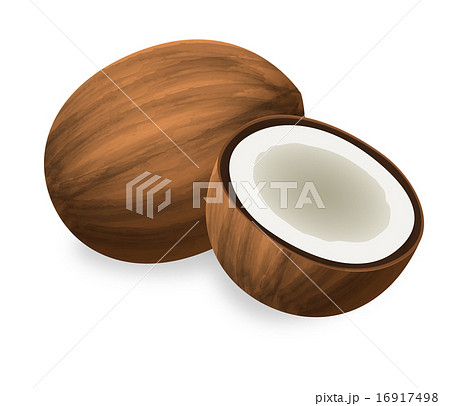 ココナッツ 16917498