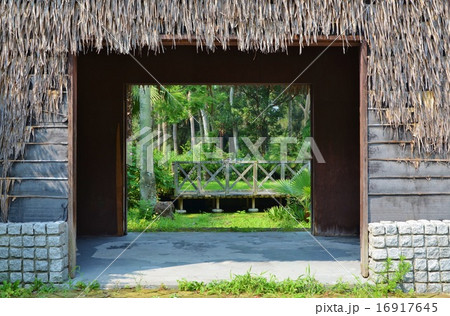 南国イメージ 16917645