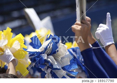 野球応援 野球応援 16917790