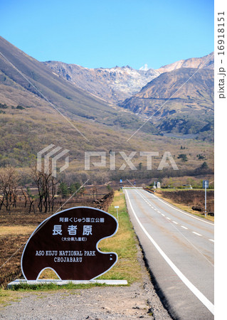 長者原@大分県くじゅう高原 長者原@大分県くじゅう高原 16918151