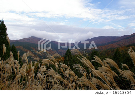 晩秋の吾妻山　比婆山　紅葉 16918354