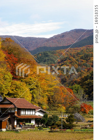 農村風景 秋 紅葉 聖岩 農村風景 秋 紅葉 聖岩 16918355